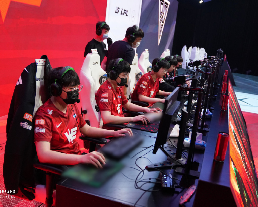 野与功能中 野与功能中